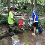 Kids get wet and dirty having so much fun playing in a creek at Farm Camp with Backbone Farm and All Earth Eco Tours.