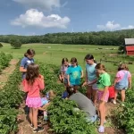 Children love learning in the beautiful fields of Backbone Food Farm at Farm Camp with All Earth Eco Tours.