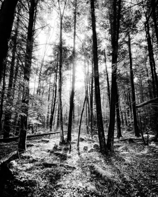 Finding Light in the Darkness