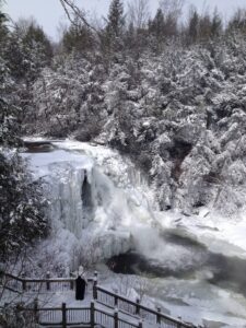 A New Year Reflection